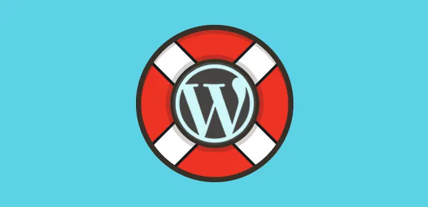 Reasons to Invest in Unlimited WordPress Support